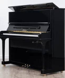 Blüthner Model B