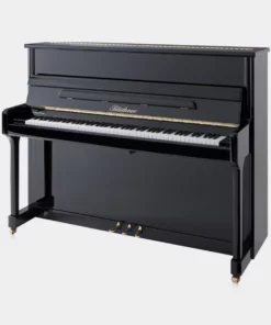 Blüthner Model C