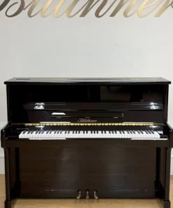 Blüthner Model C