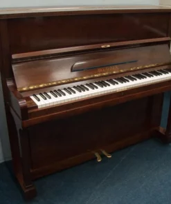Blüthner Model S
