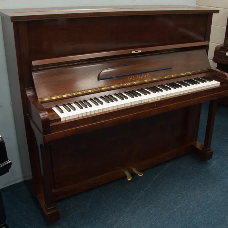 Blüthner Model S