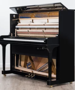 Blüthner Model S