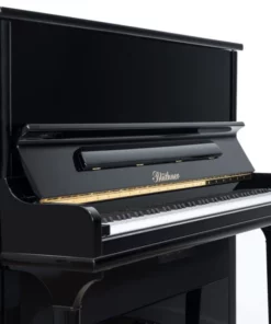 Blüthner Model S
