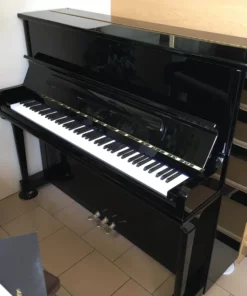 Blüthner Model S