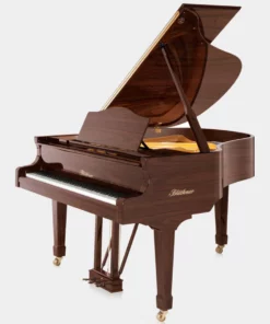 Blüthner Model 10