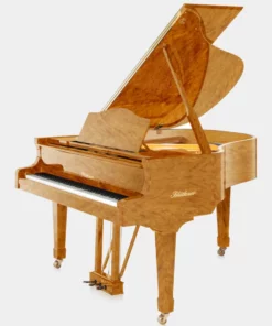 Blüthner Model 10