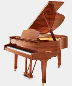 Blüthner Model 10