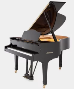 Blüthner Model 10
