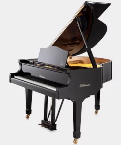 Blüthner Model 11