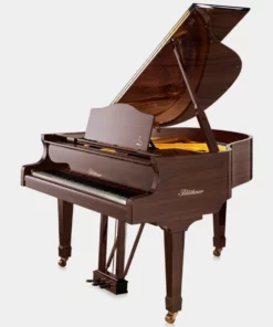 Blüthner Model 11