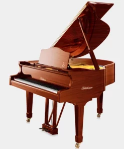 Blüthner Model 11