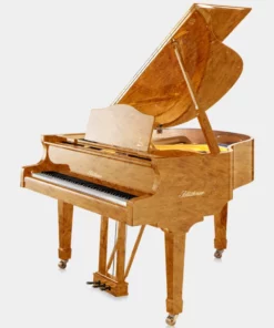 Blüthner Model 11