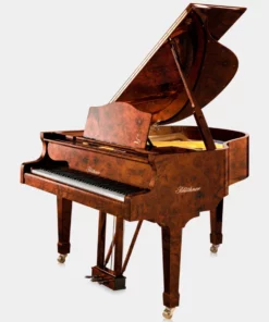Blüthner Model 11