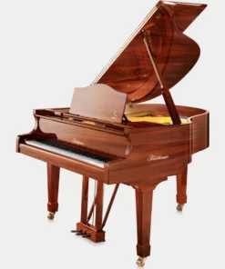 Blüthner Model 11
