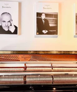 Bösendorfer 130 CL