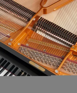 Bösendorfer 170VC