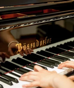 Bösendorfer 185VC