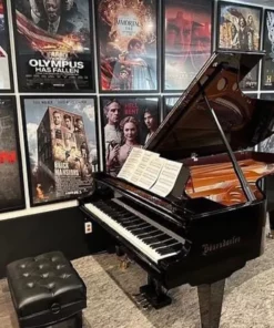 Bösendorfer 225VC