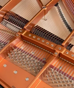 Bösendorfer 225VC