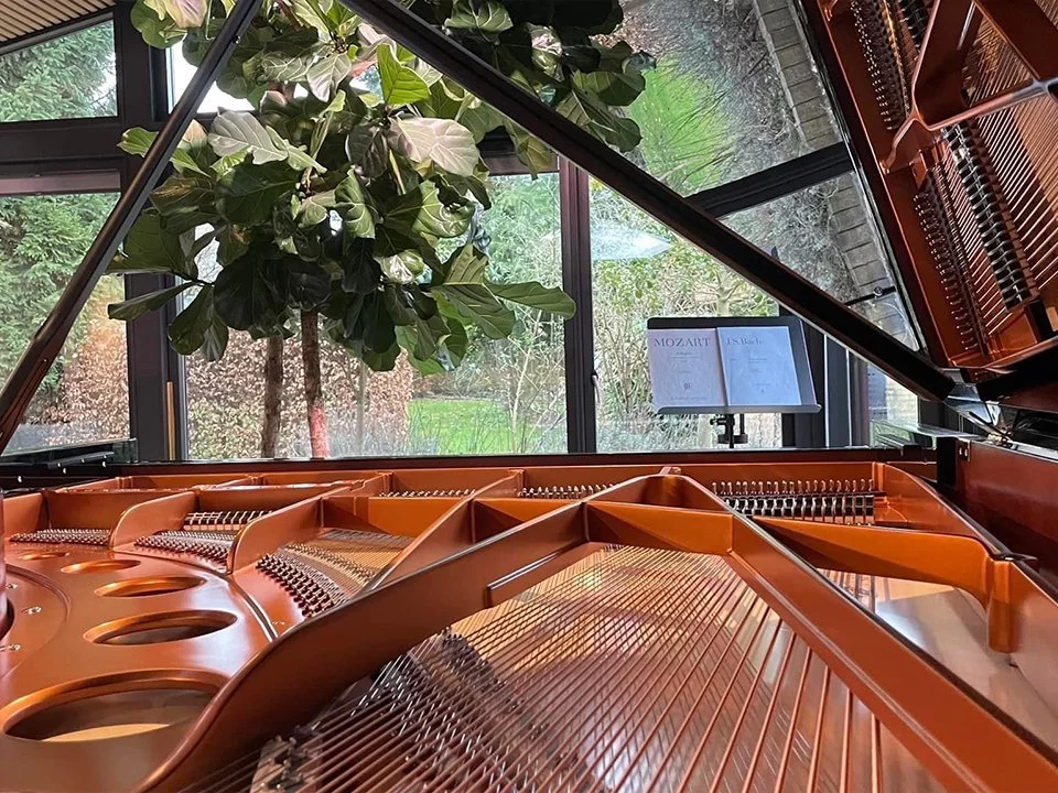 Bösendorfer 230VC - Elite Piano