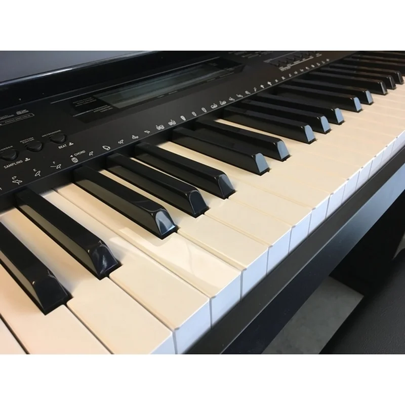 CASIO CDP 235R