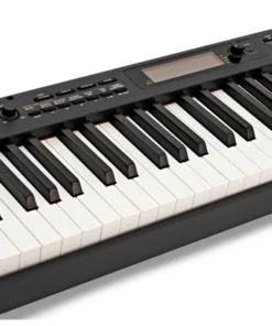CASIO CDP-S350