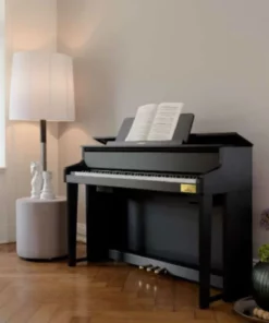 CASIO GP-300