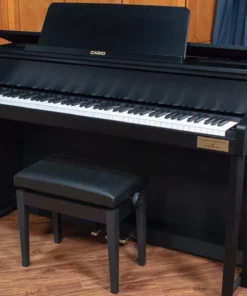 CASIO GP-300