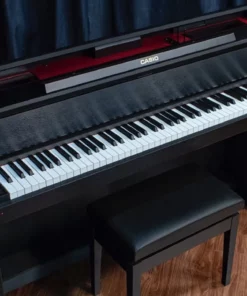 CASIO GP-300
