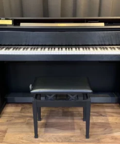 CASIO GP-300
