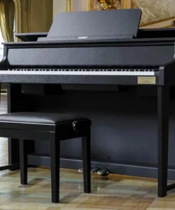 CASIO GP-310 BK (USED)