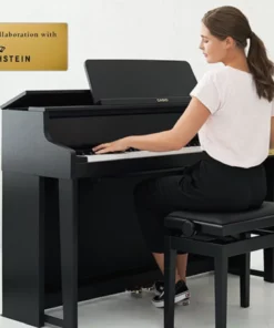 CASIO GP-310 BK (USED)