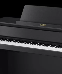 CASIO GP-310 BK (USED)