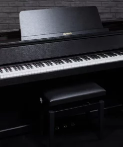 CASIO GP-310 BK (USED)