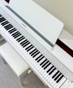 CASIO GP-310 WE
