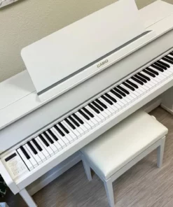 CASIO GP-310 WE