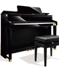 CASIO GP-500