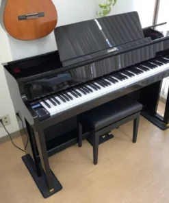 CASIO GP-500
