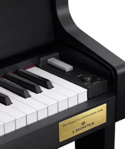CASIO GP-500