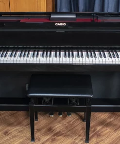 CASIO GP-500