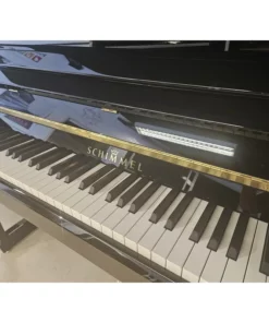 Schimmel Classic C116 Modern (Brushed oak and black polished wood)