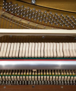 Classic C130 Upright