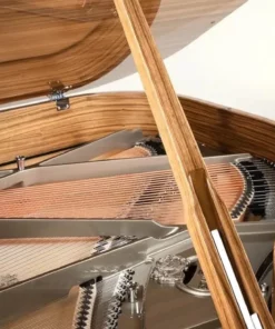 Schimmel Classic C169 Paldao