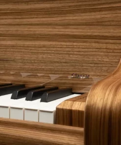 Schimmel Classic C169 Paldao