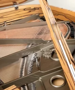 Schimmel Classic C169 White Ebony