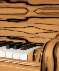 Schimmel Classic C169 White Ebony