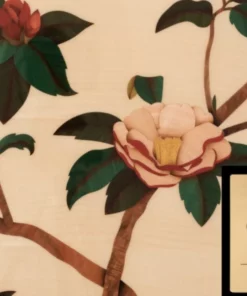 Camelia