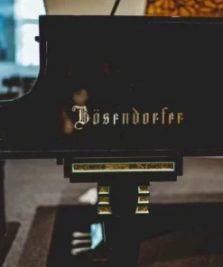 Bösendorfer Secession