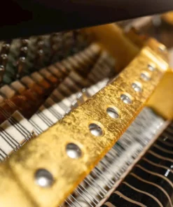 Bösendorfer Secession