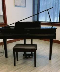 KAWAI DG30